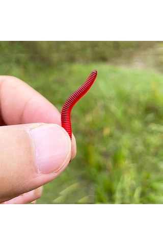 Valkyrie 100 Adet Kokulu 3,5cm Yapay Silikon Solucan Balık Yemi - Gerçekçi Görünüm - Parfümlü - 100 Parça Yem