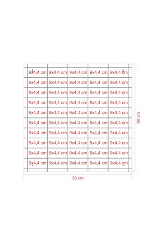 Şeffaf Kapaklı Ahşap Hobi Araba Rafı