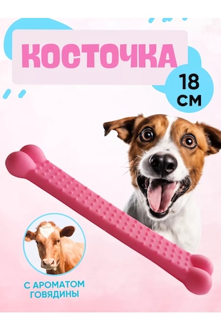 Anticarapki Köpekler İçin Kemik 252801247