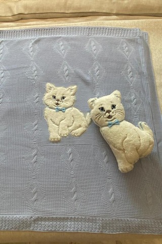 Oyuncak Hediyeli Bebek Triko Battaniye 90x90 Cm Mavi Mavi