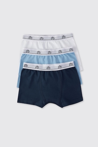 Panço Erkek Çocuk 3'lü Boxer Seti 2502bk14014 Renkli