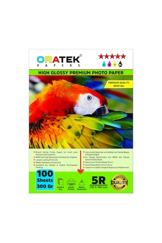 Epson 103 L3260 Evertday Premium Parlak 13 x 18 CM Fotoğraf Kağıdı 300 G 100 Adet