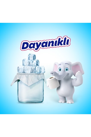 Selpak Hijyen Üç Katlı Tuvalet Kağıdı 2 x 16 Rulo