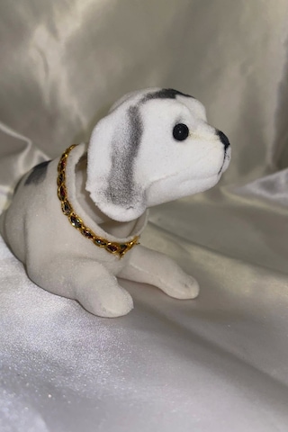 Golden Retriever Kafa Sallayan Köpek Başını Sallayan Köpek Sallanan Köpek Beyaz