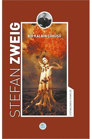 Bir Kalbin Çöküşü - Stefan Zweig - Maviçatı Yayınları