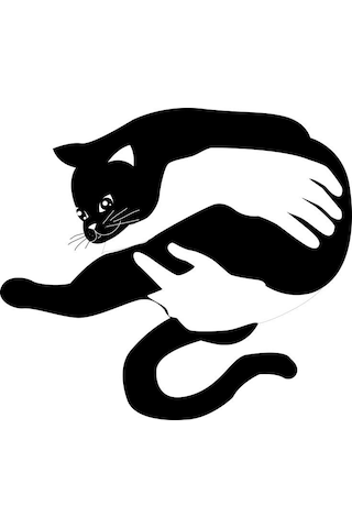 Ahşap Mdf Kucakta Siyah Kedi Duvar Dekor Ürünü -