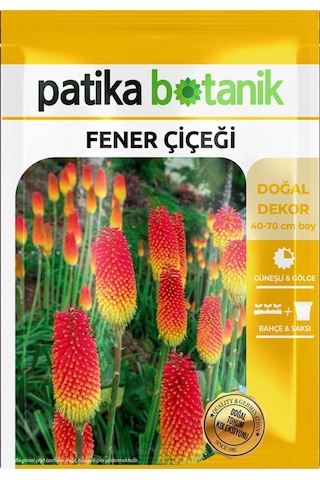 50 Adet Fener Çiçeği Tohumu