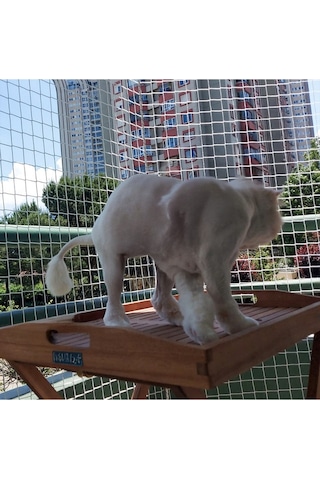 Nzl File Ambalaj Balkon Filesi - Kuş Filesi - Kedi Filesi - Kedi Ağı - 2 CM Gözenekli - 1.5 Mm İp