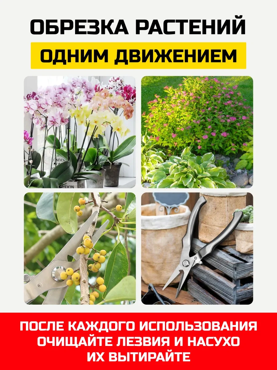 Gebbert Bahçe Ve Çiçekçi İçin Kağıt Sarmaşığı İçin Bahçe Makası 404725452