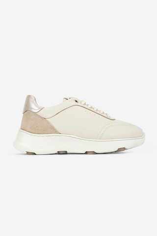 Valmenti Kadın Hakiki Deri Krem Sneakers & Spor Ayakkabı 298 7025 Bn Ayk Y26 Krema/bej Suet/dore