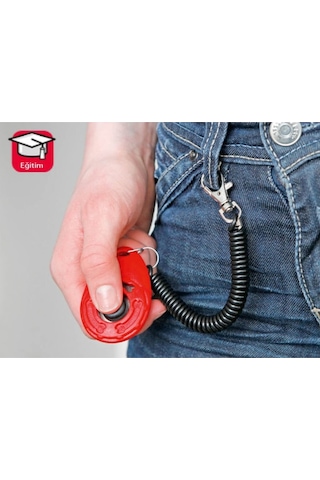 6 CM Training Köpek Eğitim Clicker