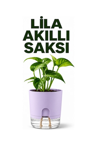 Akıllı Saksı Kendinden Sulamalı Fitilli Modern Dekoratif Saksı 2 Litre 06577596