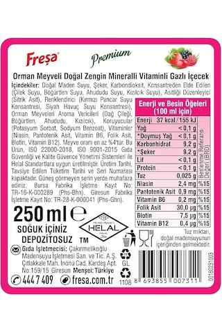 Freşa Premium Orman Meyveli Vitaminli Maden Suyu 250 Ml X 24 Adet