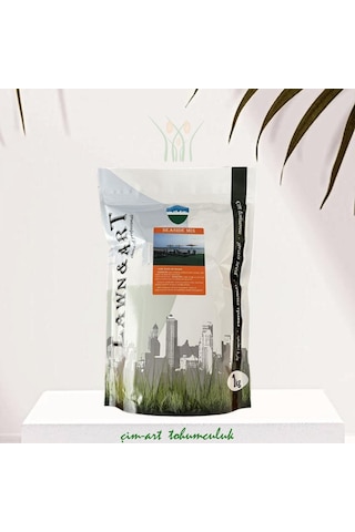 Seaside Mix Yazlıklar için Çim Tohumu Karışımı 1 kg