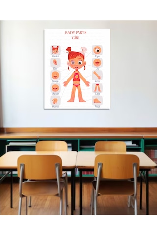 Vücut Bölümleri Poster İngilizce Pvc Kaplı 30x42 Cm Kız Çok Renkli