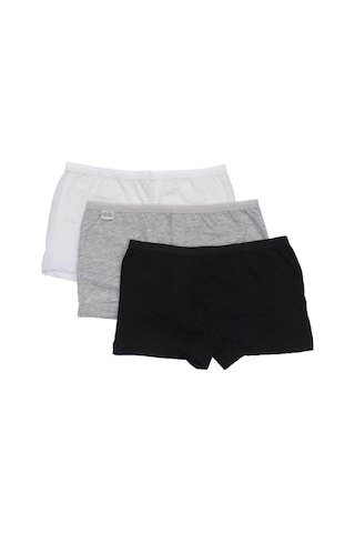 Essaiçgiyim 3'lü 6'lı 12'li Paket Gümüş 3016 Likralı Renkli Bayan Boxer - 457328971