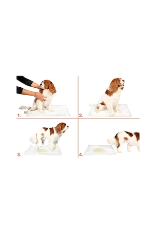 Hubrendy Çer Yıkanabilir Köpek Çiş Pedi - 90 X 60 Cm 5li Paket