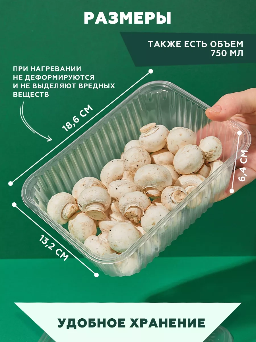 Clever Paper Tek Kullanımlık Plastik Kap 1000 Ml Kapaklı 30 Adet 232470025 30