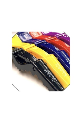 Claris C-32201 Renkli Yarasa Saç Pensi  5'li