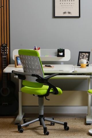 Creo Mobili Yükseklik Ayarlı Vega Plus Çalışma Sandalyesi, Ofis Ve Bilgisayar Koltuğu Yeşil/yeşil Gri