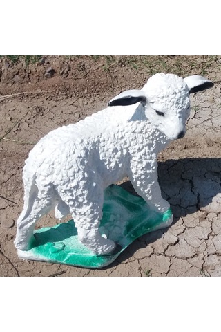 M3 Beyaz Koyun Yavrusu Süt Kuzu Iç Dış Mekan 50Cm Bahçe Oda Heykeli Beyaz