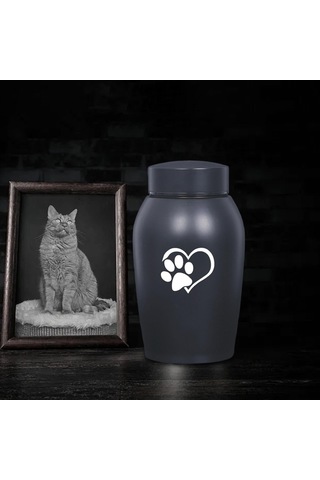 Homyl Paslanmaz Çelik Pet Urn Kremasyon 60 Lbs'ye Kadar Stil-a Altın