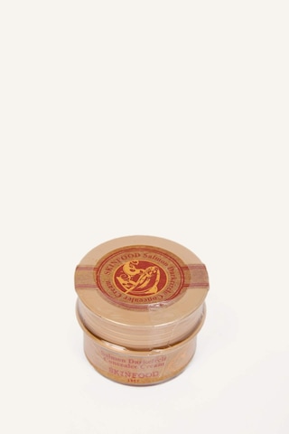 Skinfood Salmon Concealer Kapatıcı Krem 02 10 G