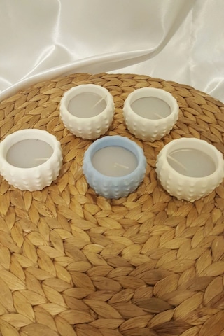 Yılbaşı Kaktüs Saksı Mum Yeni Yıl Mumu Noel 5 Li Çok Renkli