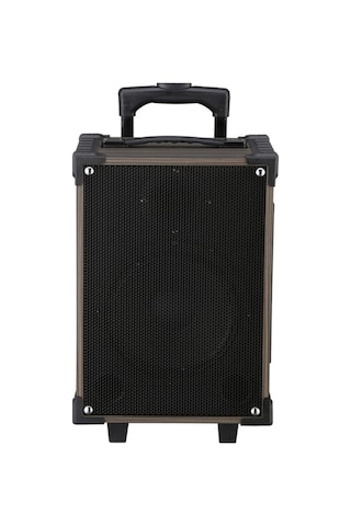 Emrtech LT-912 Kumandalı 2 Mikrofonlu Kablosuz Hoparlör