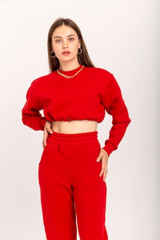 Kaktüs Moda Şardonlu 3 İplik Kumaş Uzun Kol Kadın Sweatshirt Kırm