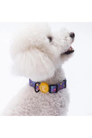 Pawstar Ice Cream Boyun Tasması M Boyun Çevresi: 32 Cm X 48 Cm Çok Renkli