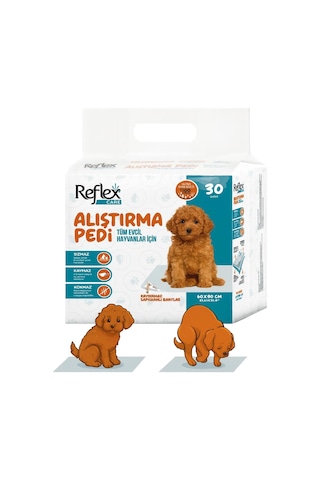 Care Alıştırma Pedi 60x90 Cm 10'lu Paket