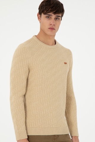 U.S. Polo Assn. Erkek Slim Fit Bisiklet Yaka Kum Kazak 50297050-VR085