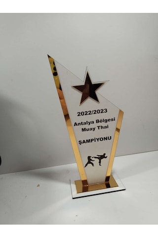 Plaket Karete/boks/judo/muay Thai Turnuvalarına Özel Altın