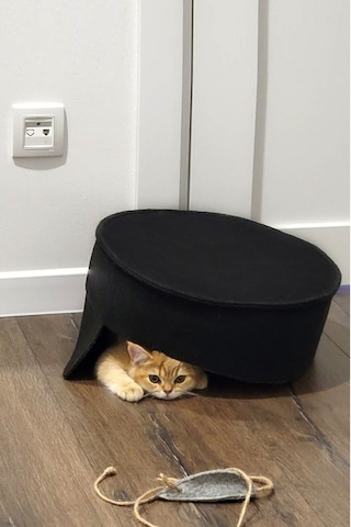 Bundera Mia Kedi Yatağı Evcil Hayvan Kedi Yuvası