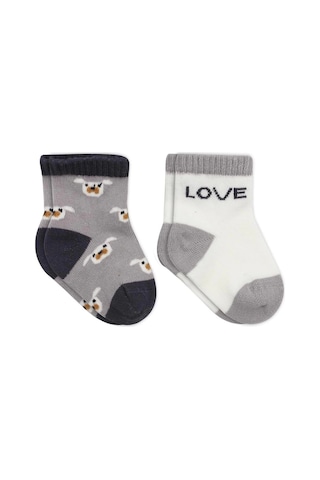 Bistyle Love Dog Penye Soket Çorap 2'li Bs10118 Gri Gri