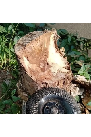 Ahşap Eğe Diski - 9055139482303do Çok Renkli