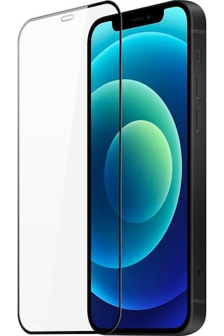 Dux Ducis Apple Uyumlu iPhone 12 Mini 5.4 Tempered Cam Ekran Koruyucu 10D Ful Siyah