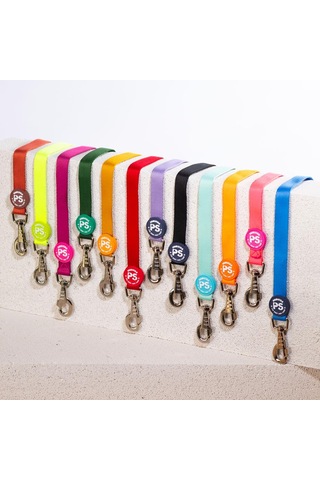 Pawstar Gold Leash Kedi Köpek Sevk & Gezdirme Kayışı Köpek Uzatma Tasması Altın