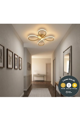 Daisy 4 Lü Gold Avize Plafonyer 3 Renkli Salon, Çocuk Odası, Mutfak Ve Antre İçin Şık Aydınlatma