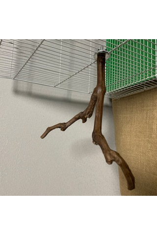 Vkemall Kuş Eğitim Durağı - Üzüm Çubuğu Kuş Tırmanma Ve Çiğneme Oyuncakları Düz/kavisli Seçenekli