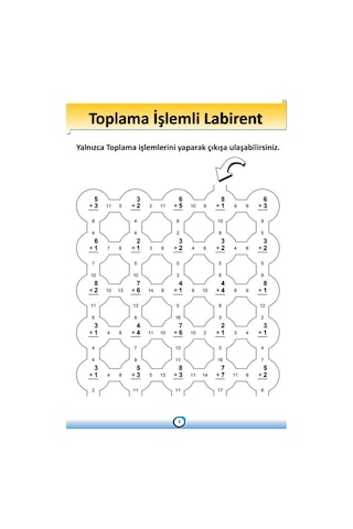 Matematik Öğreten Labirent Kitap Seti (5 Fasikül Kitap)