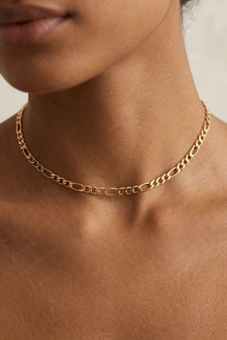 Gold Figaro Model Choker Çelik Zincir Kolye Kadın Kolye Choker Serisi