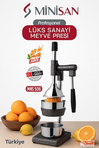Minisan Mns-506 Profesyonel Sanayi Tipi Kollu Meyve Presi