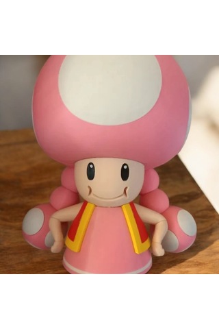 Super Mario Toadette