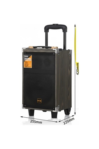 Hepu Hp-903 Partybox Bluetooth Hoparlör 8 Woofer 40w Güç 1 Kablosuz Mikrofon Kumanda