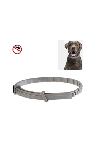 Pet Pire Ve Anti-bit Yaka Pet In Vitro Böcek Kovucu Yüzük, Boyut: Küçük Köpek / 38cm
