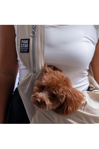 Pawstar 26062 Bej Crossbody Kedi Köpek Taşıma Çantası-21646