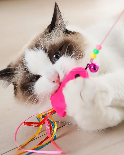 Balıklı Kedi Oyun Oltası 90 Cm 4741