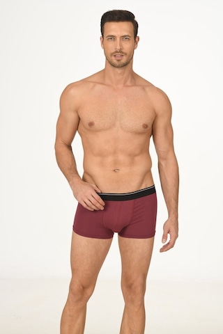 NBB Erkek Bordo Penye Boxer